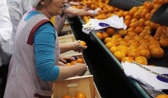 El 46% de les persones que treballen a les cooperatives són dones. / DLV