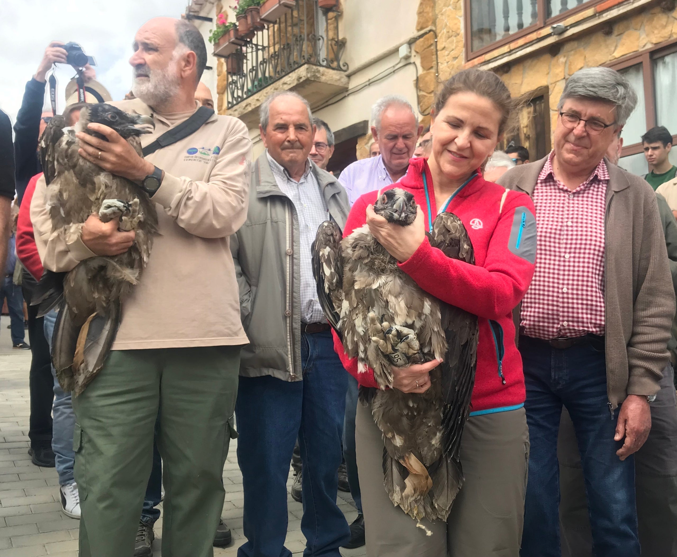 La consellera d'Agricultura i Medi Ambient en funcions, Elena Cebrián, ha participat en l'alliberament de les cries. / GVA