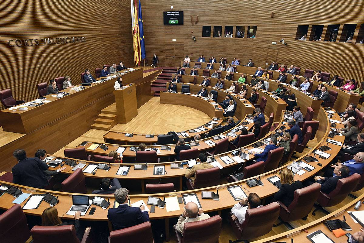 Els diputats tenen 15 dies per a declarar la relació d'activitats i béns patrimonials tal com ordena el reglament de les Corts. / DANIEL GARCÍA-SALA