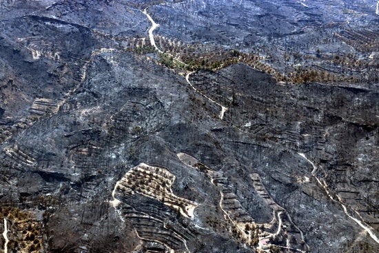 El responsable dels Bombers ha assenyalat que gran part del flanc esquerre, el primer terç del flanc dret i el cap de l'incendi estan pràcticament estabilitzats, però que la banda nord del flanc dret continua activa. / CEDIDA A EUROPA PRESS