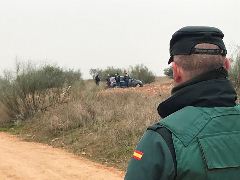 El cadàver ha aparegut aquest matí, sobre les 11.00 hores, en un camp de llimes. Imatge d'arxiu. / EFE