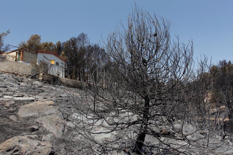 L'incendi va cremar vora 900 hectàrees. / EFE