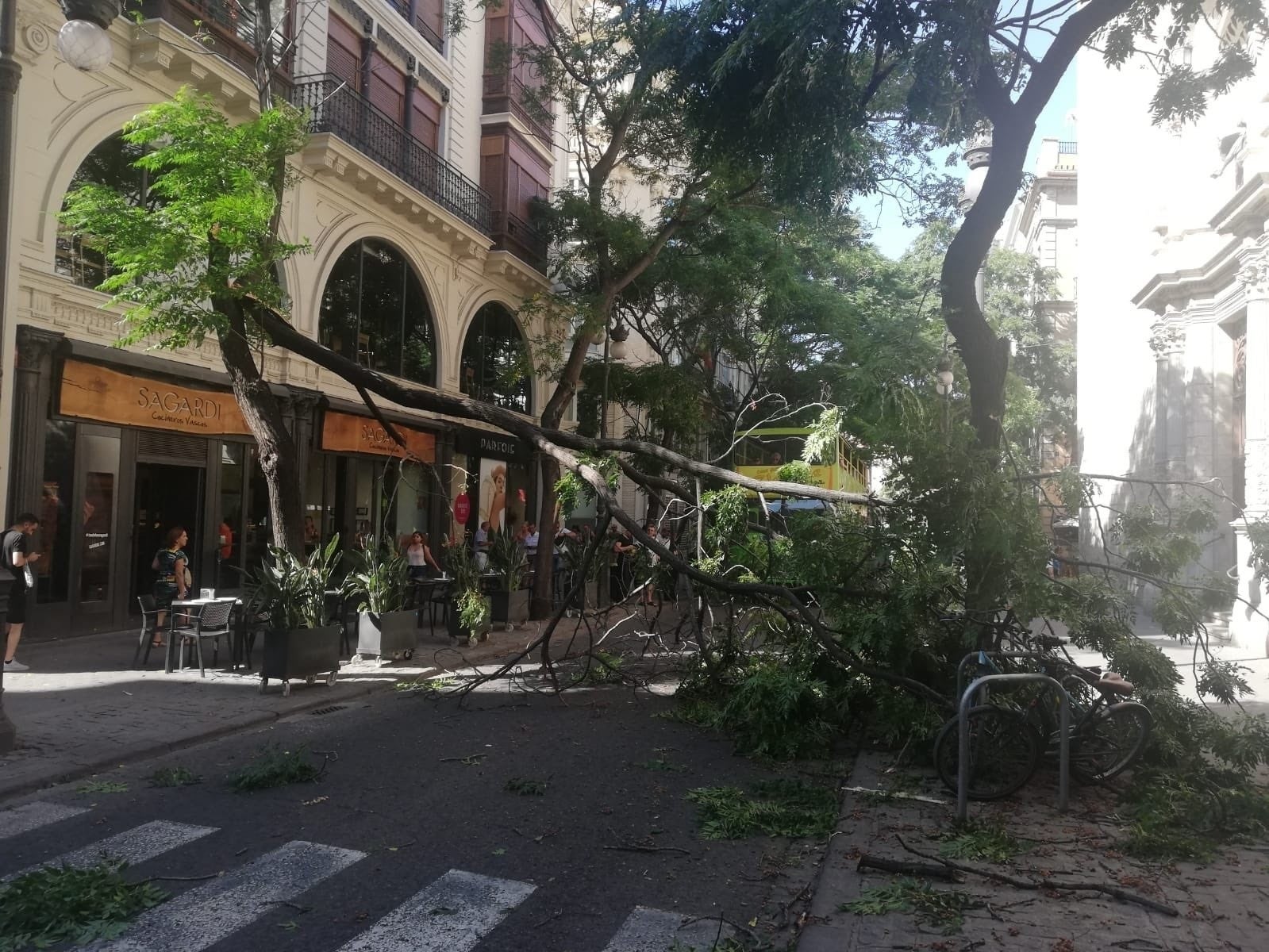 Els bombers i els policies treballen per a retirar l'arbre. / POLICIA LOCAL