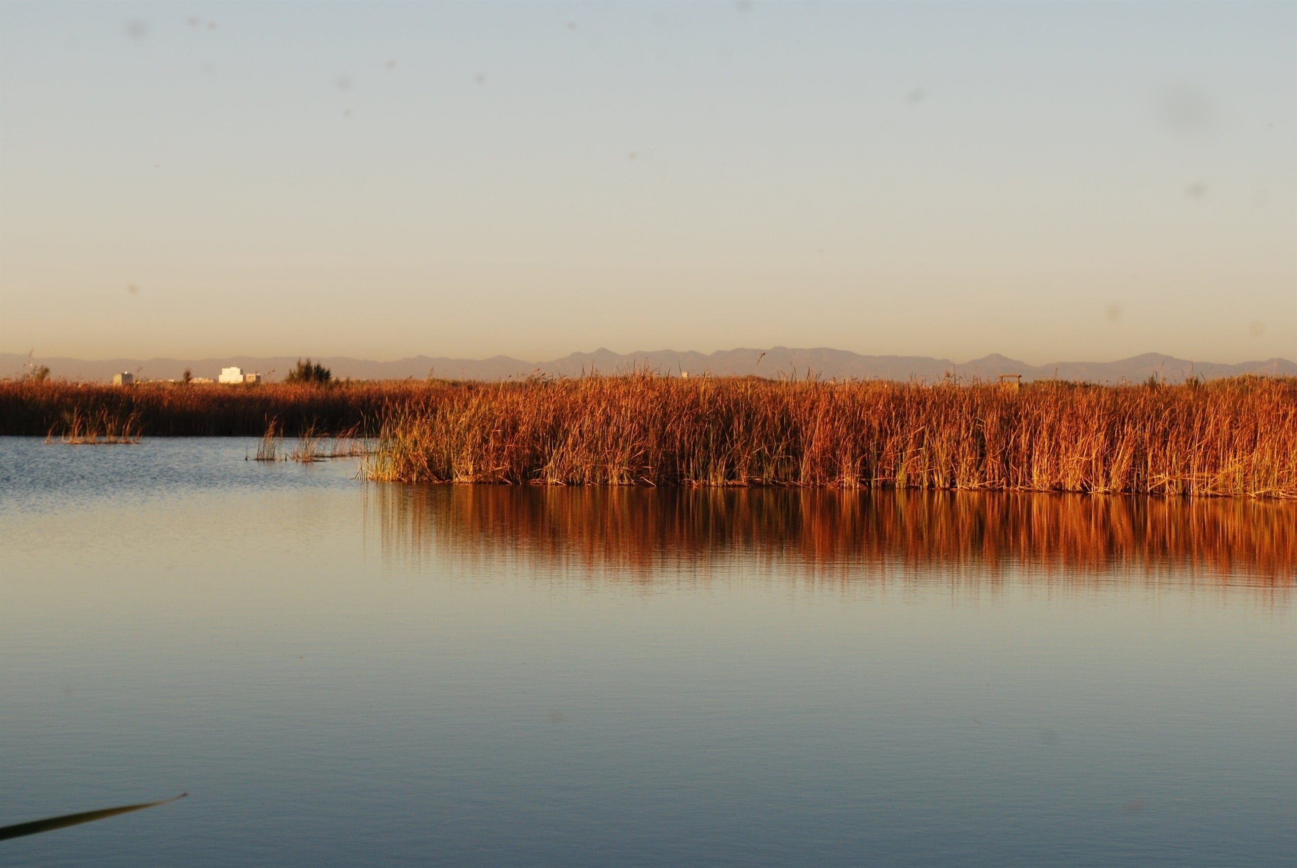 L'Albufera en una imatge d'arxiu