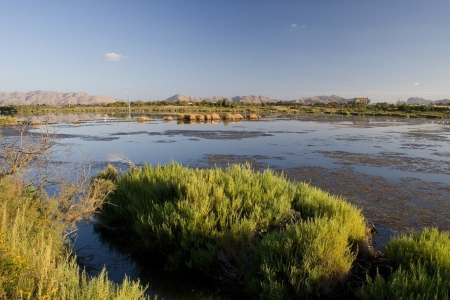 La Fiscalia ressaltava en el seu comunicat la gravetat del dany mediambiental que podria provocar el descens del nivell de les aigües. / EUROPA PRESS