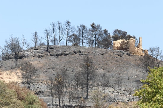 L'incendi va quedar controlat aquest diumenge a la vesprada. / MIQUEL CODOLAR, ACN