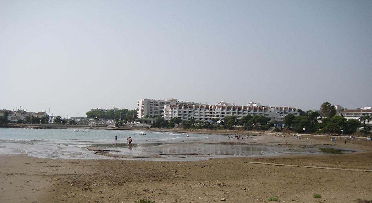 Els valors obtinguts en les mostres indiquen la presència de contaminació d'origen fecal en el punt de mostreig oficial de la platja de les Fonts, situat en el centre d'aquesta. Imatge d'arxiu. / COLUMBUSALBUS