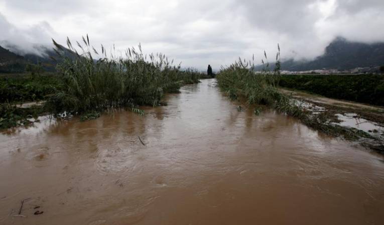 La pluja va produir lliscaments de vessants, despreniments de roques, forats, regalls i enderrocament d'arbratge. / DLV