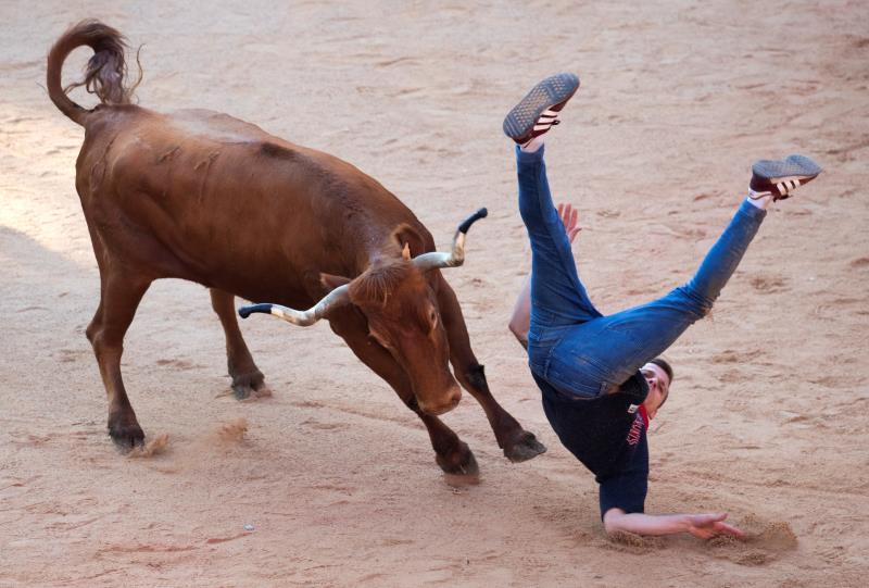 Imatge d'arxiu d'un jove sent voltejat per una vaca. / EFE