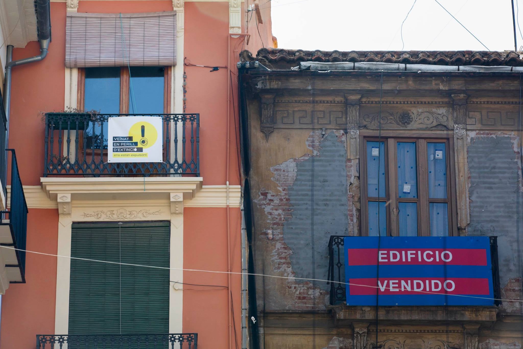 La ciutat de València ha tancat el mes de juny amb un dels seus millors resultats d'arribada de turistes. / VEÏNAT EN PERILL D'EXTINCIÓ