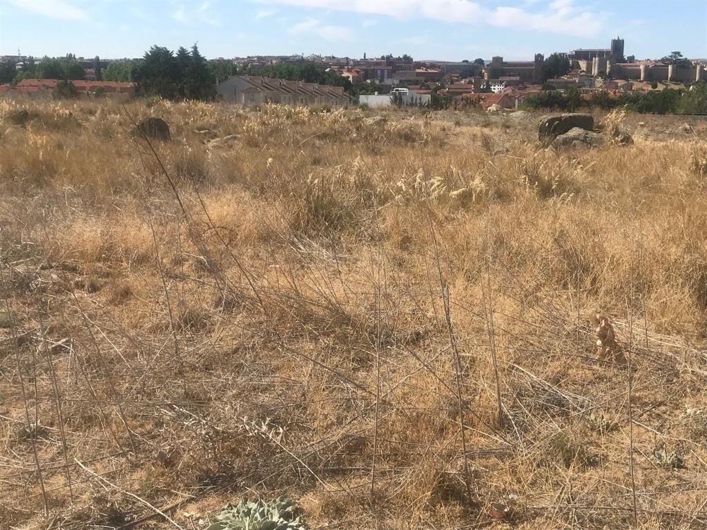 Imatge d'arxiu d'un solar. / EUROPA PRESS