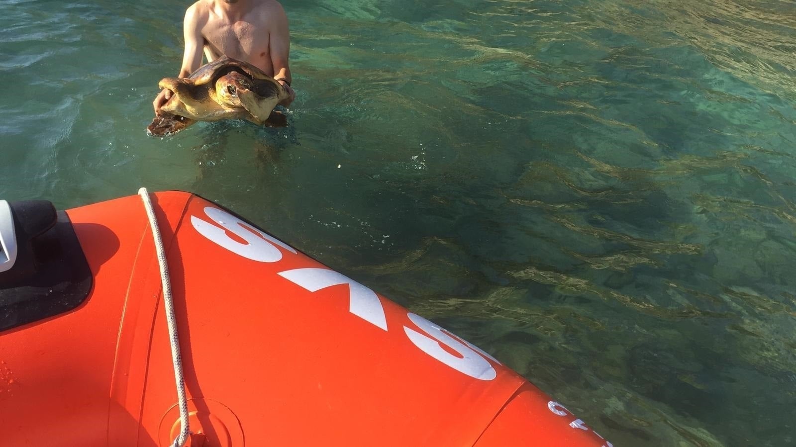 L'animal ha sigut evacuat per la cala La Fustera i traslladat a la infermeria del post de salvament de Benissa, a l'espera de l'equip de recuperació que ha d'arribar de l'Oceanogràfic de València i de la Universitat de València per a tractar a la tortuga rescatada. / CEDIDA A EUROPA PRESS