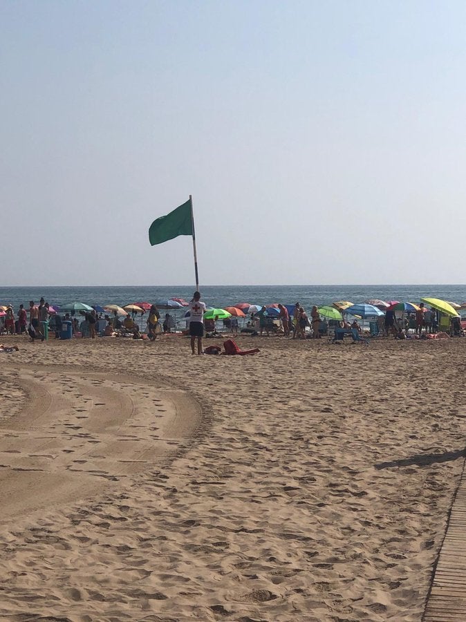 Els cartells es penjaran a la platja i a alguns comerços. / AJUNTAMENT DE GANDIA