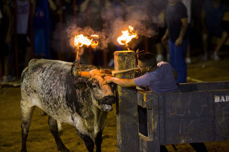 Els fets han ocorregut durant les festes taurines de l'Alcora. / EFE