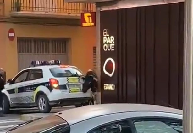 El bou ha escapat pels carrers d'Algemesí. / TWITTER, @pauhernandezf