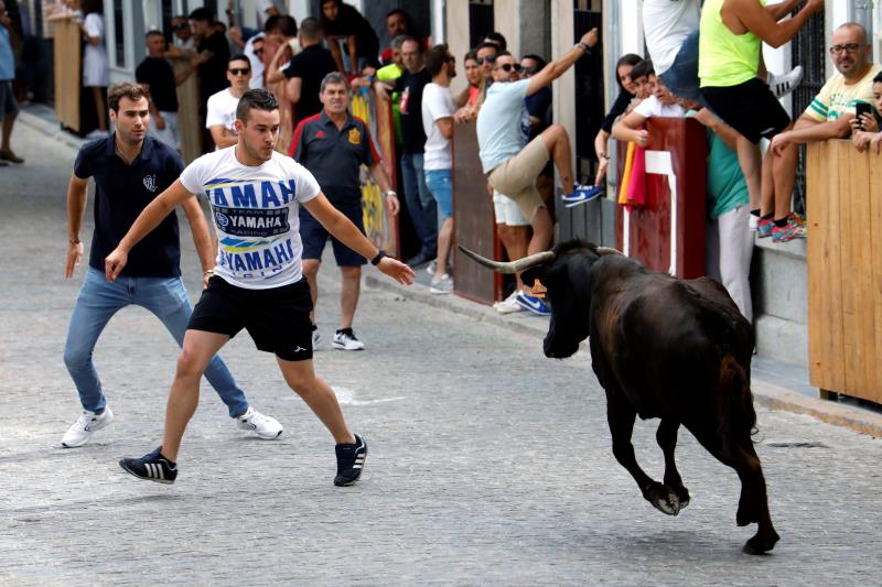 Bous al carrer