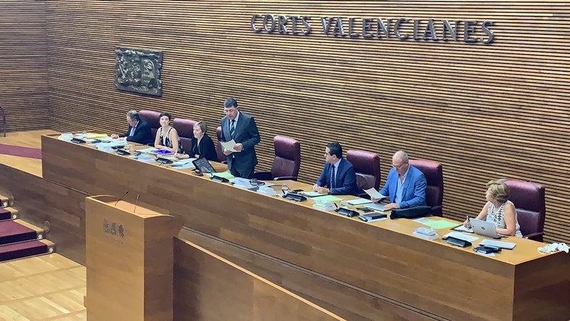 Les Corts Valencianes demanen al Consell i al govern espanyol que acceleren les ajudes als afectats. / CORTS