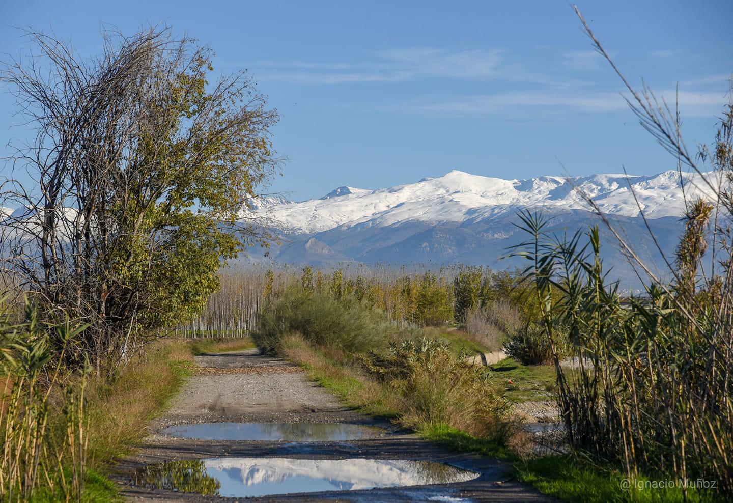 Foto: Antonia Martín
