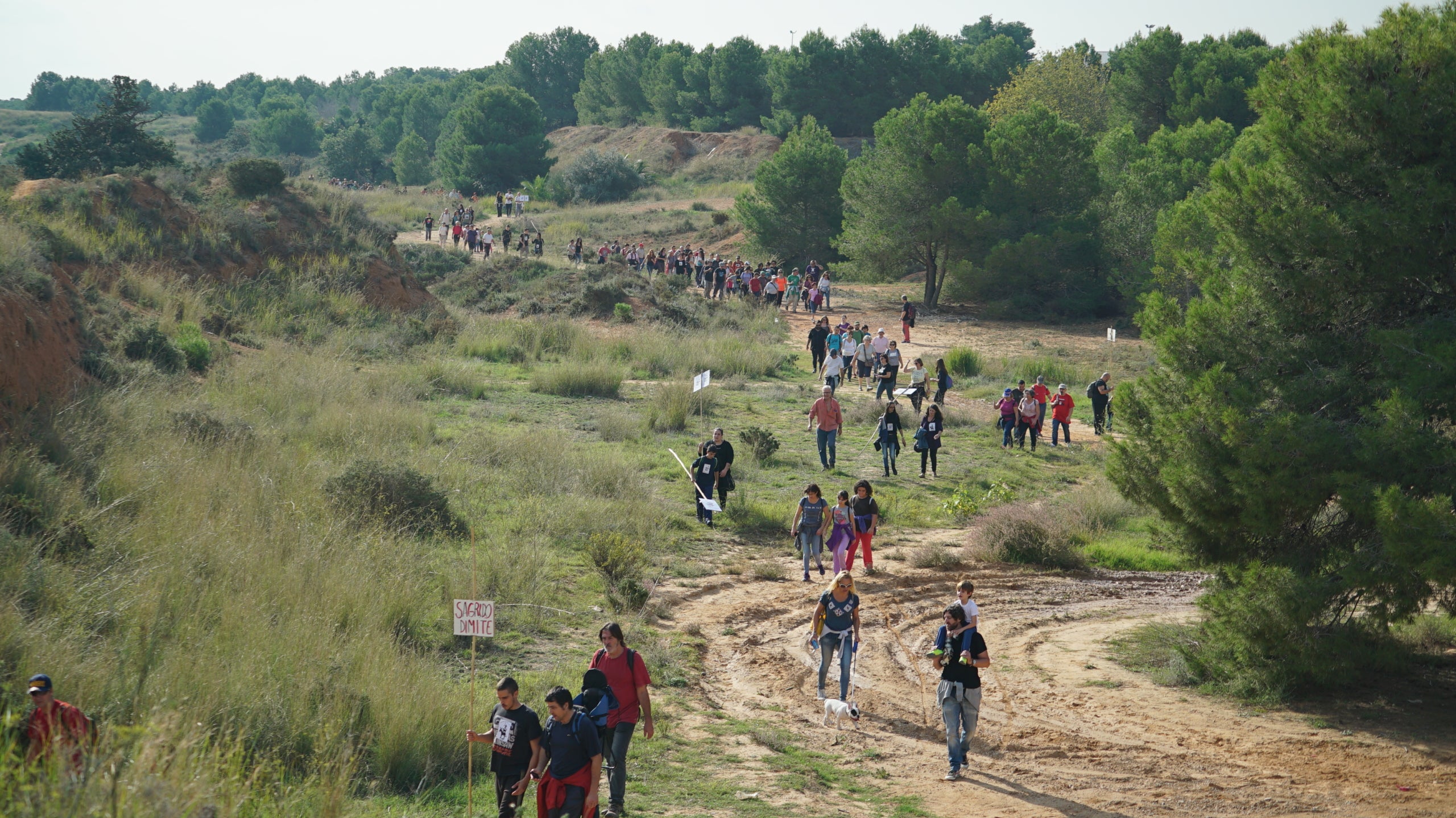 La Coordinadora ha organitzat per al dia 16 de novembre una 'bellotada' amb la qual plantarà a Les Moles més de 14.000 bellotes de carrasca, roure valencià i coscoll. / COORDINADORA PER LA PROTECCIÓ DE LES MOLES