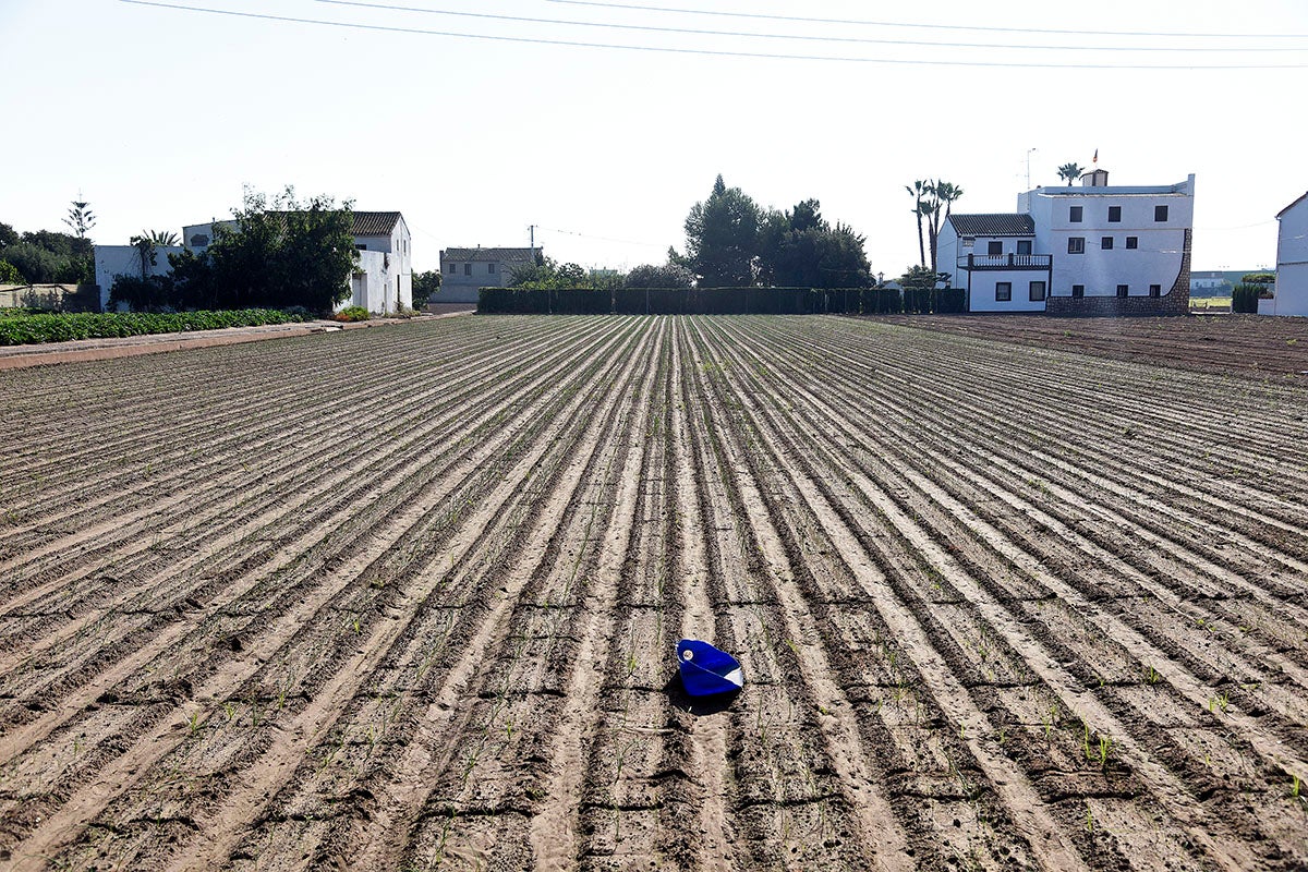 El pla pretén la reclassificació de 264.000 metres quadrats d'horta. / DANIEL GARCÍA-SALA