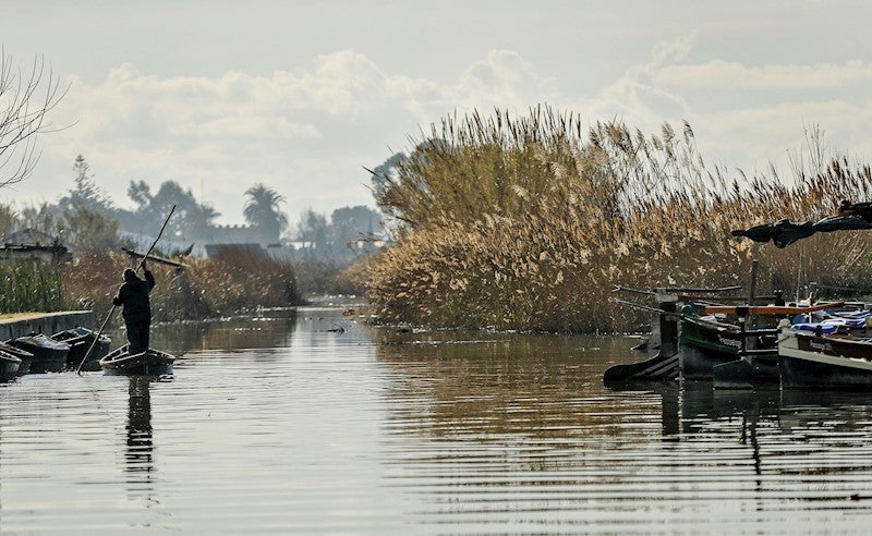 La directora del parc natural de l'Albufera lamenta que l'aigua del llac està 'igual que la de les depuradores'. / MANUEL BRUQUE / EFE