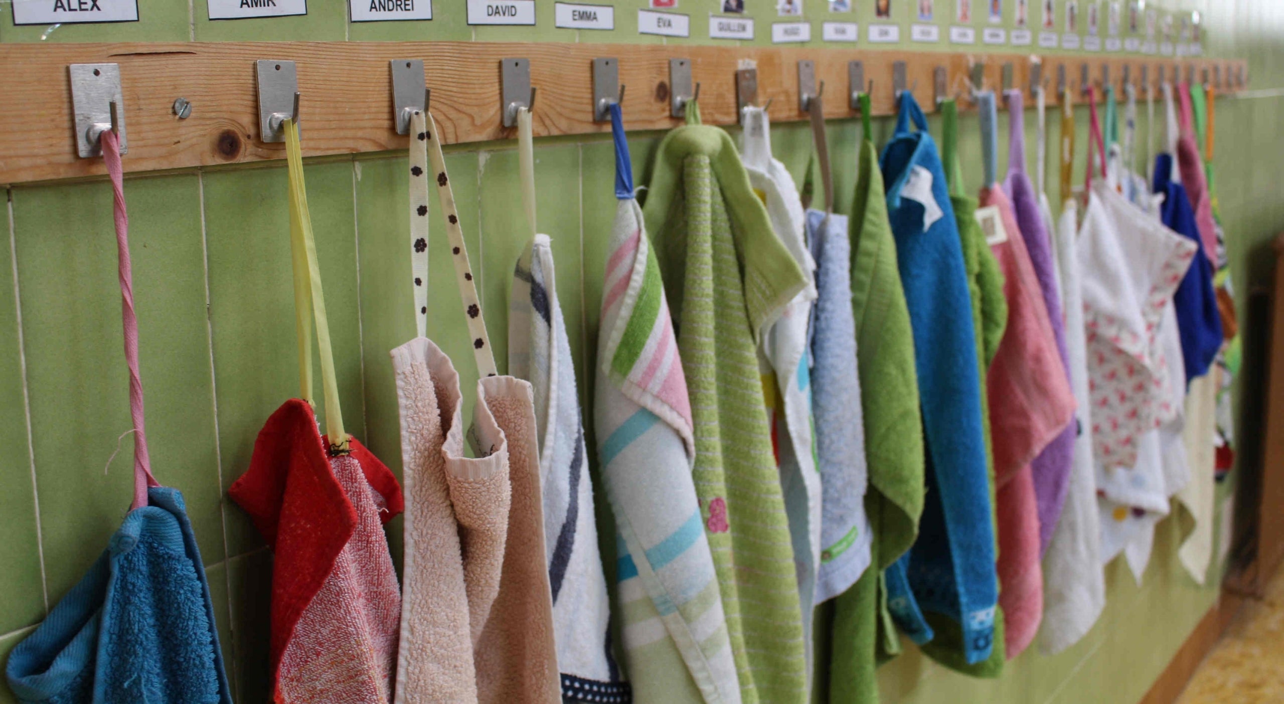 De moment, Educació ha resolt positivament 37.101 ajudes. / DLV