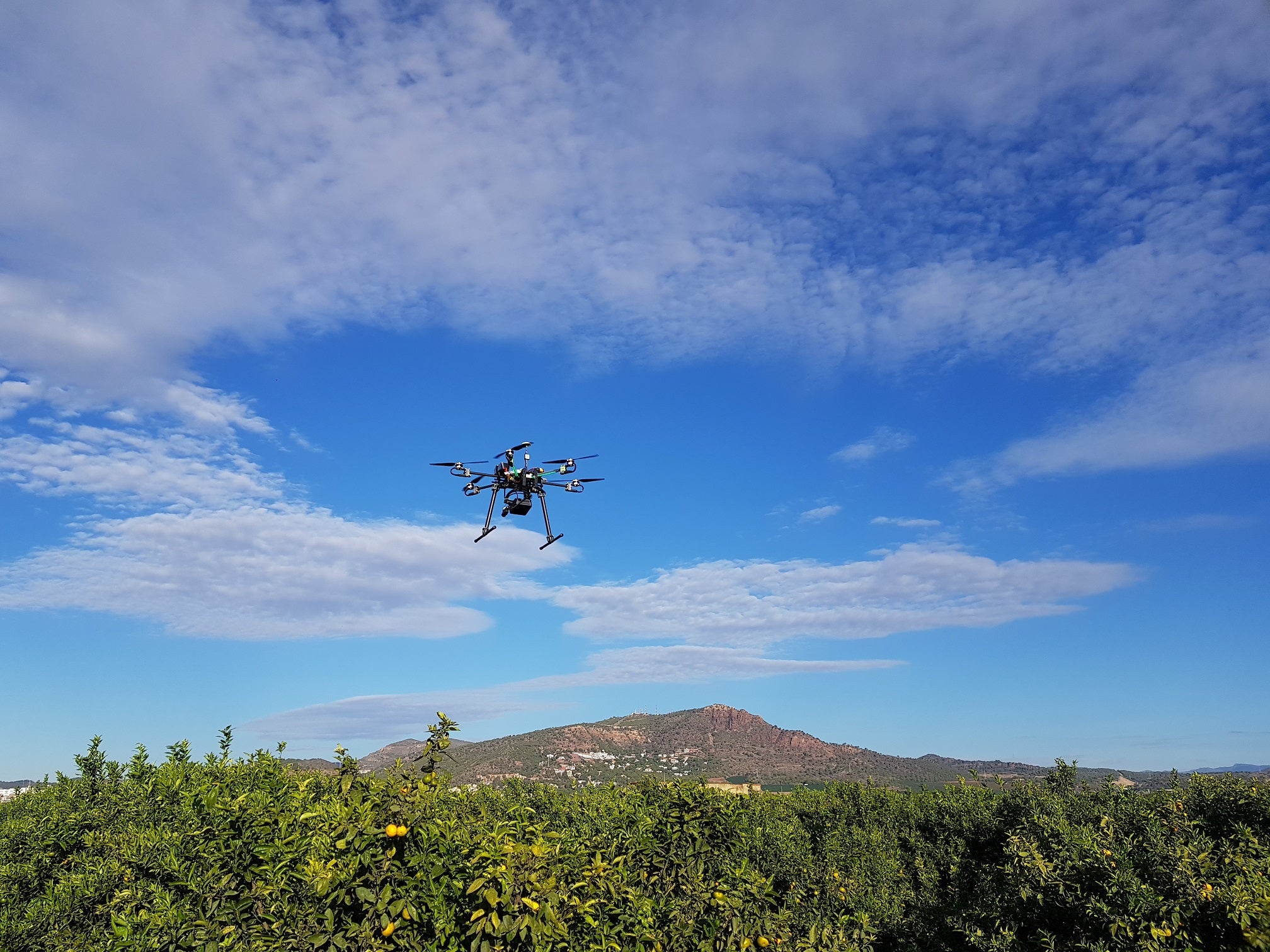 AVA-Asaja espera que el dron comence a recavar dades d'utilitat en la seua finca l'any que ve. / AINIA