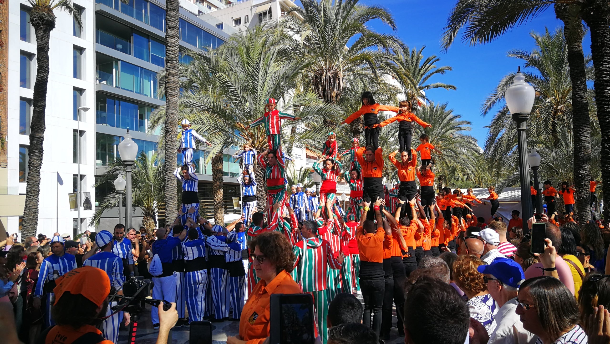 Diumenge passat les tres colles participants en la V Diada Muixeranguera d'Alacant van exhibir un alt nivell en l'execució de les figures i quadres plàstics. / ENRIC SORRIBES