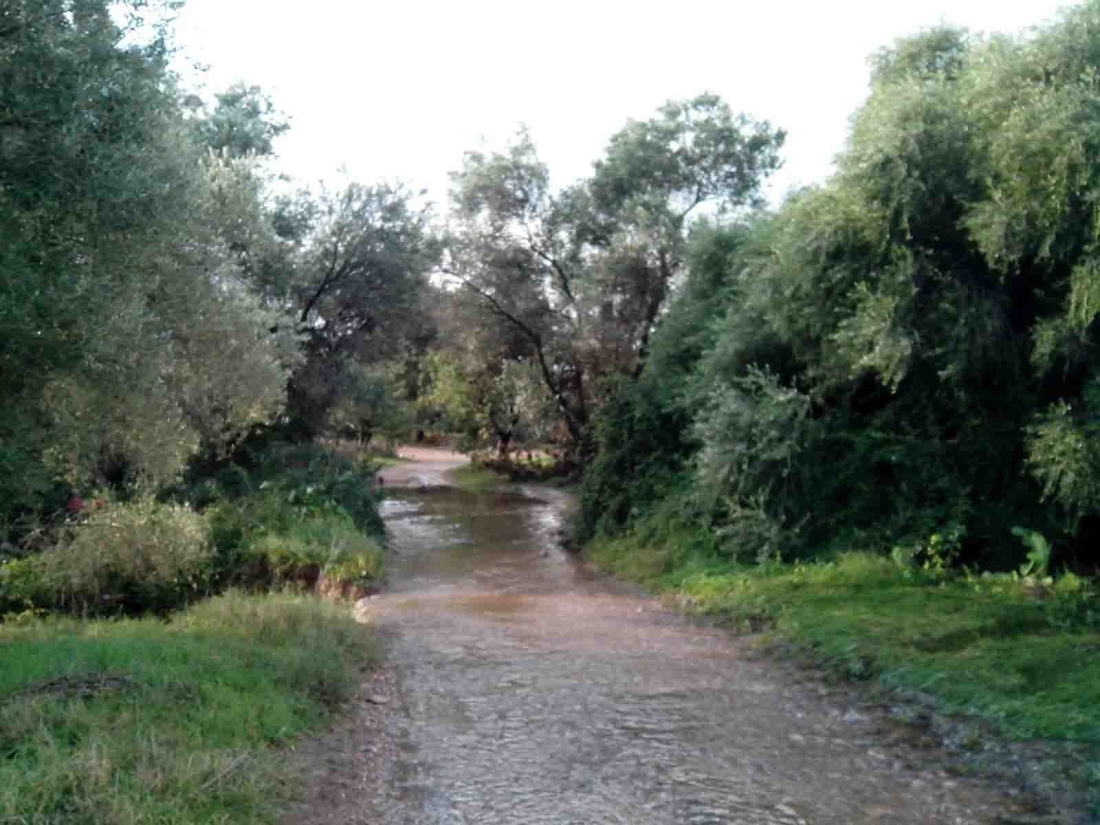 'Per molt que alguns s'entossudisquen a ocultar-ho, i fins i tot hagen col·laborat activament i impunement en la seua degradació, Les Moles de Paterna tenen un altíssim valor ecològic i mediambiental, no només per als veïns de Paterna, sinó també per a tota la ciutadania de l'àrea metropolitana de València', assenyala Democràcia en Verd. / LES MOLES