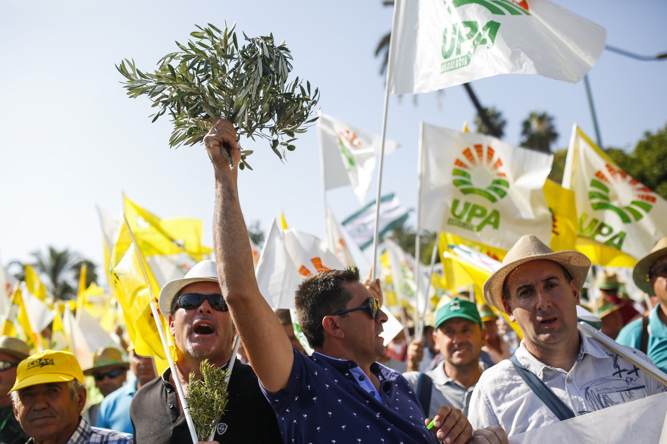 Més de 10.000 olivaters de tot l'Estat s'han manifestat a Madrid. / EUROPA PRESS
