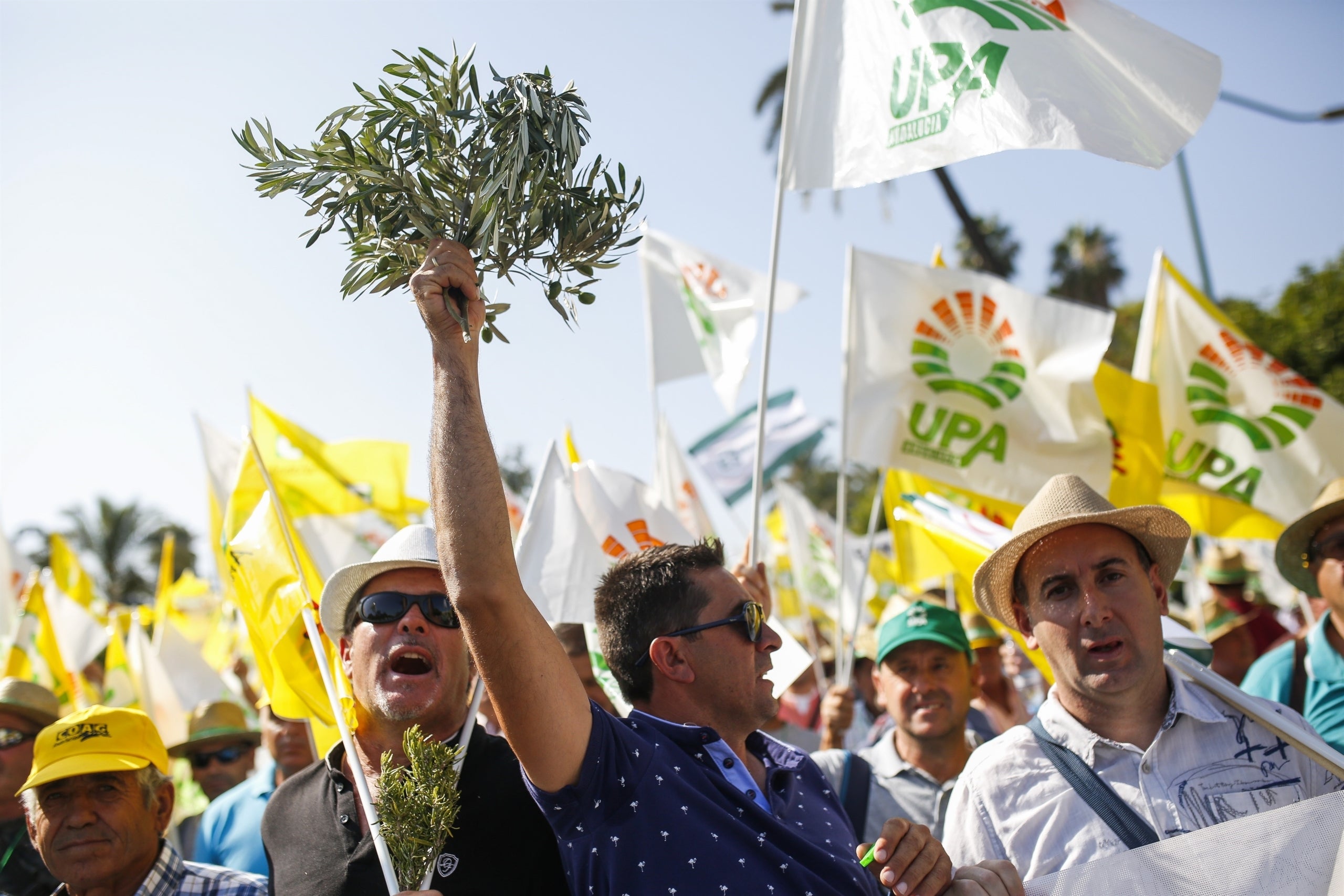 Més de 10.000 olivaters de tot l'Estat s'han manifestat a Madrid. / EUROPA PRESS