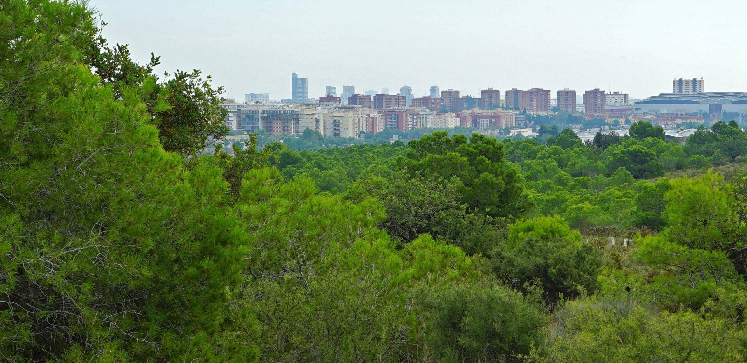 L'organització en defensa del territori també vol explicar als dirigents valencians el seu projecte per al Paratge Natural de Les Moles. / COORDINADORA PER LA PROTECCIÓ DE LES MOLES