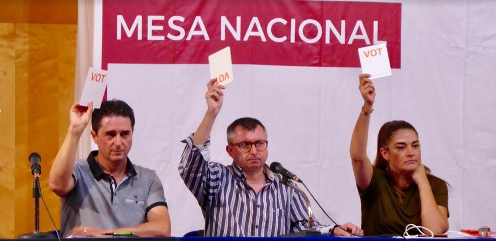 La Mesa Nacional d'Iniciativa, el màxim òrgan de decisió entre congressos, va celebrar aquest dissabte al matí a València una reunió d'inici del curs polític, especialment marcada per la cita del 10N. També estava prevista, però, la votació sobre el nou corrent. / INICIATIVA