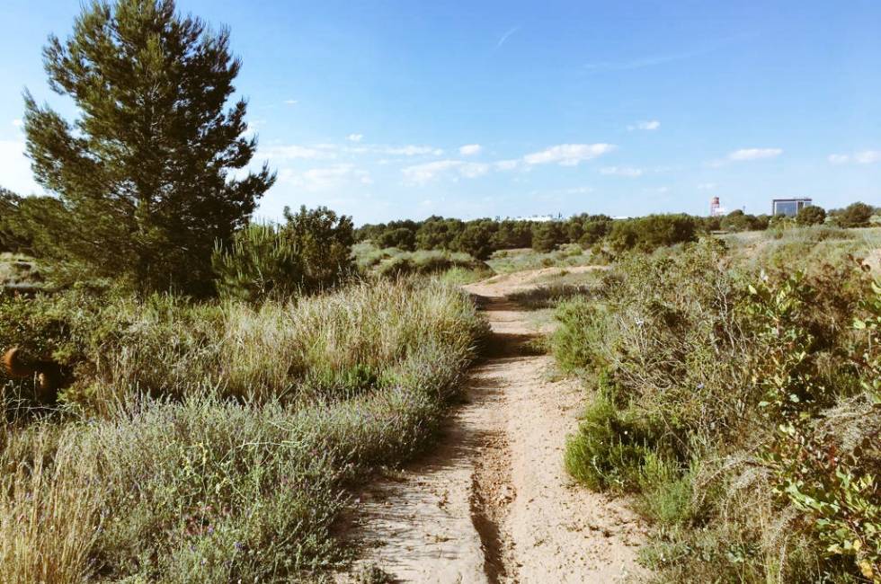 Els ecologistes defensen el Paratge Natural de Les Moles i es qüestionen una sentència que qualifiquen d''incomprensible'. / @LAMOLANOSTRA