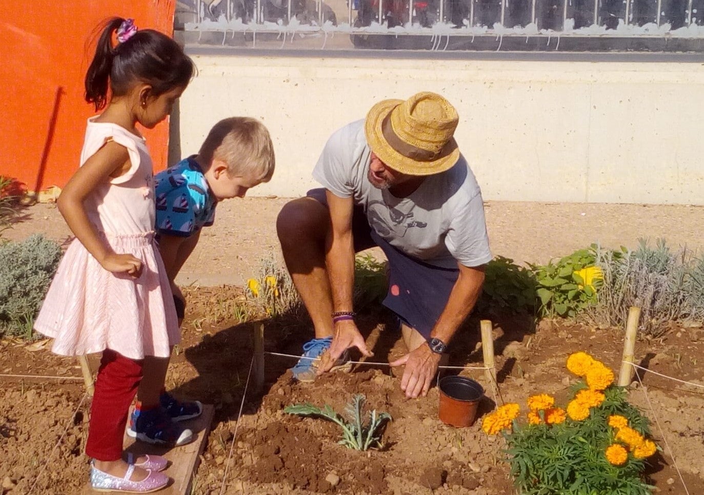 La iniciativa del centre escolar valencià, impulsada per la Fundació Tríodos i l'Associació Vida Sana, ha sigut premiada entre un total de 78 candidatures presentades. / AJUNTAMENT DE VALÈNCIA