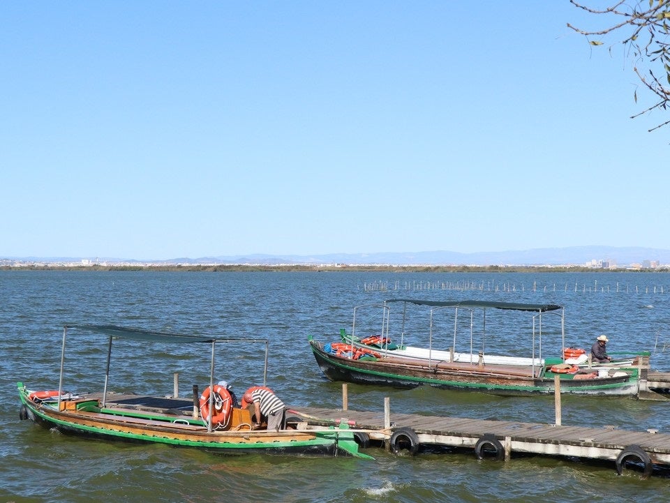 La UPV celebra el pròxim dimecres la 'II Jornada d'Aiguamolls Valencians: els problemes i el futur de l'Albufera'. / UPV