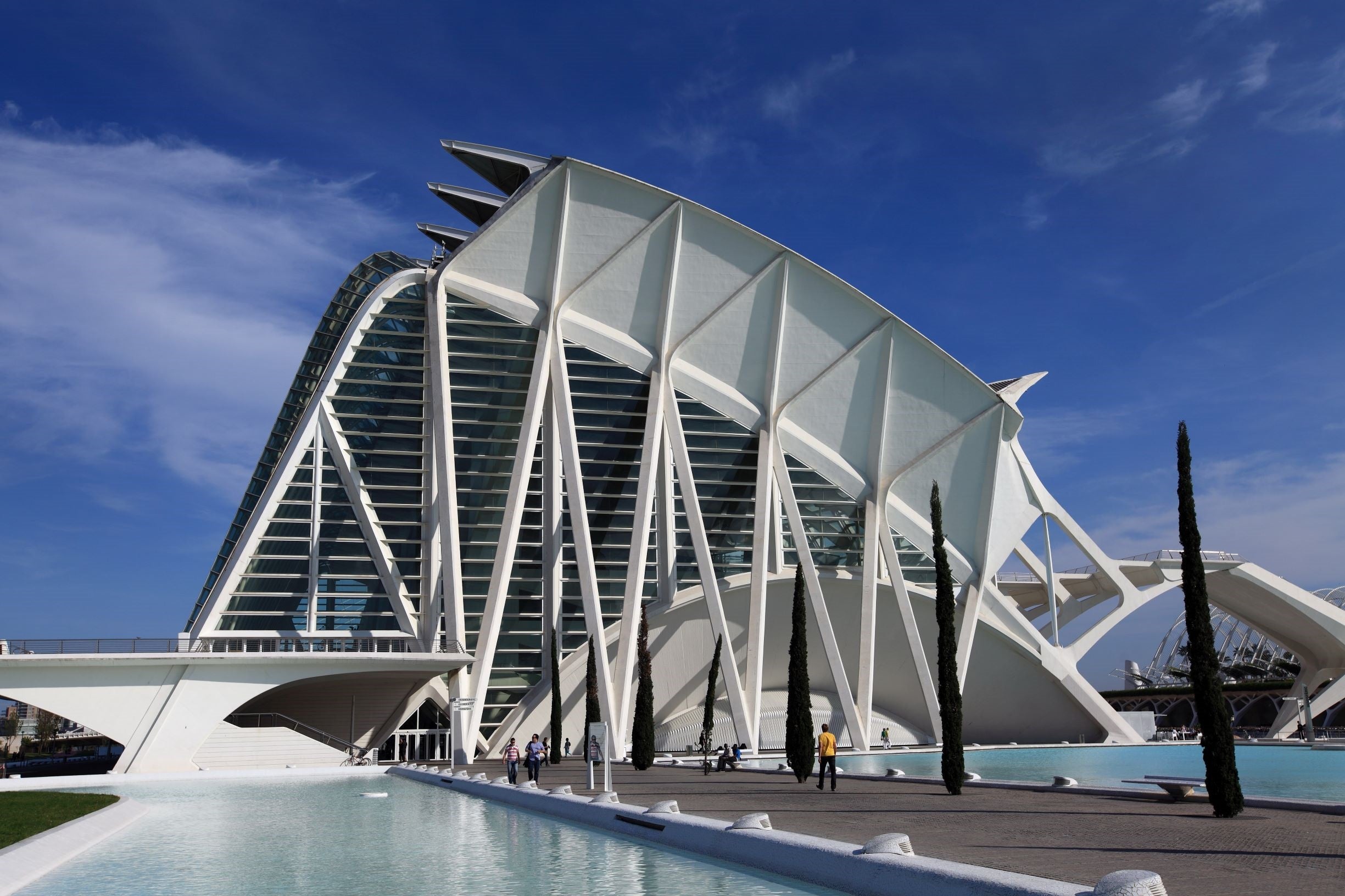 Personal de la Ciutat de les Arts i les Ciències i de l'Associació Valenciana d'Astronomia atendran les consultes dels participants i guiaran en l'observació d'aquest curiós fenomen. / GVA