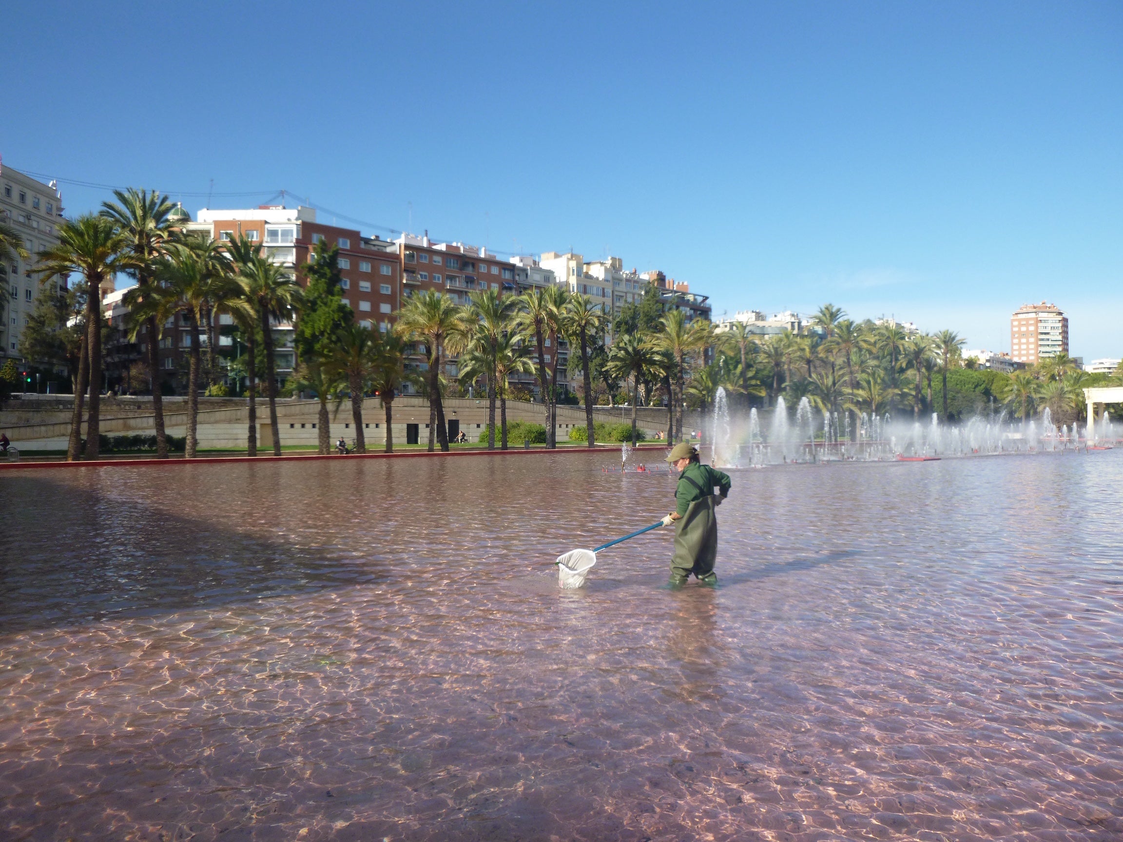 Des del 2003 no s'aprovava cap oferta pública d'ocupació a l'organisme. 'Aquestes 6 noves places són prioritàries per al manteniment del servei als parcs i jardins de València perquè s'encarreguen de tasques molt especialitzades', ha explicat el vicealcalde i regidor d'Ecologia Urbana, Sergi Campillo. / AJUNTAMENT DE VALÈNCIA