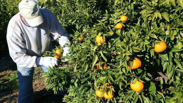 La Unió de Llauradors ha analitzat els entrebancs patits pels agricultors i ramaders valencians. / LA UNIÓ DE LLAURADORS