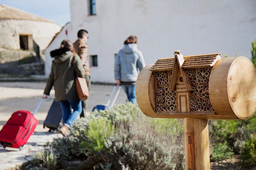 L'amenaça que viuen les abelles silvestres, responsables de la pol·linització de les plantes, incideix alhora sobre l'agricultura i l'alimentació humana. / BEE&BEE