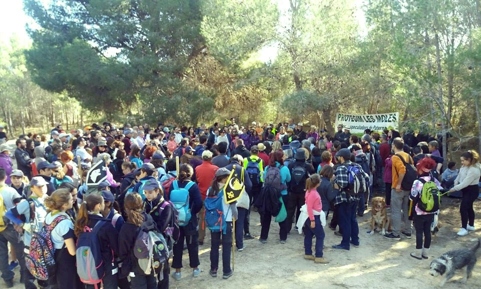 COORDINADORA PER LA PROTECCIÓ DE LES MOLES