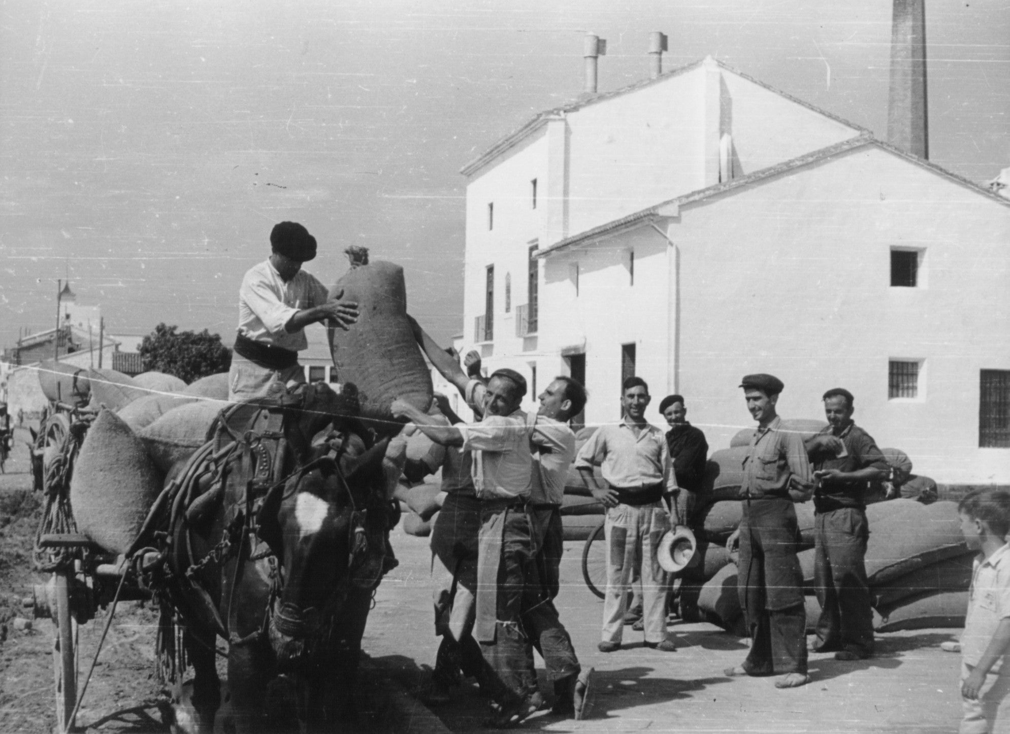 Aquesta fou terra de vinyes