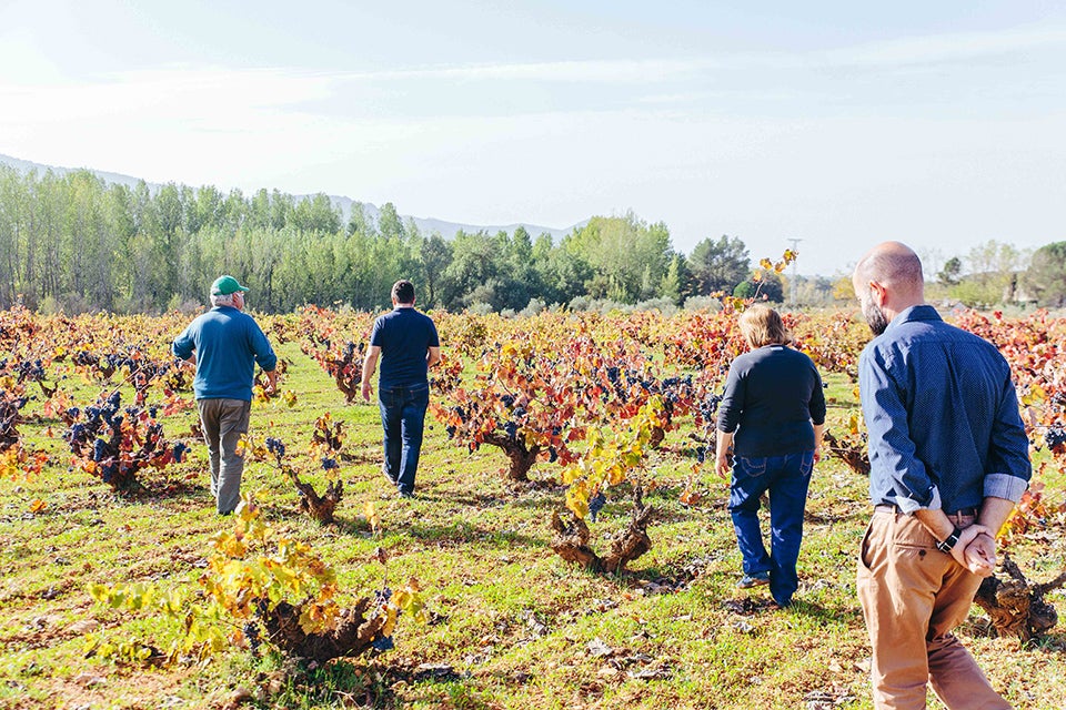 Vins del Comtat. Un celler que recupera la identitat mediterrània