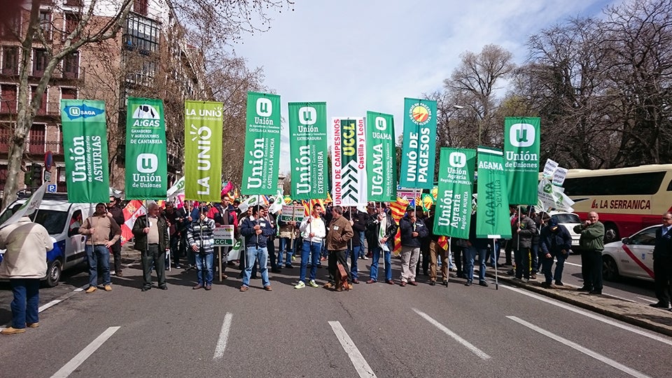 De la pancarta a les institucions