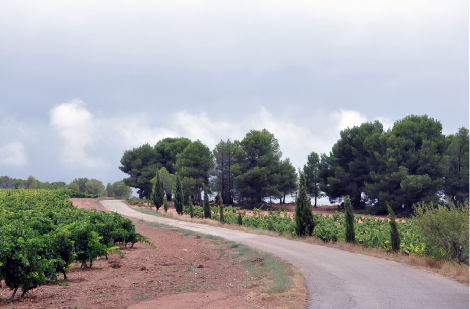 Rere les línies de calç de Fontanars dels Alforins