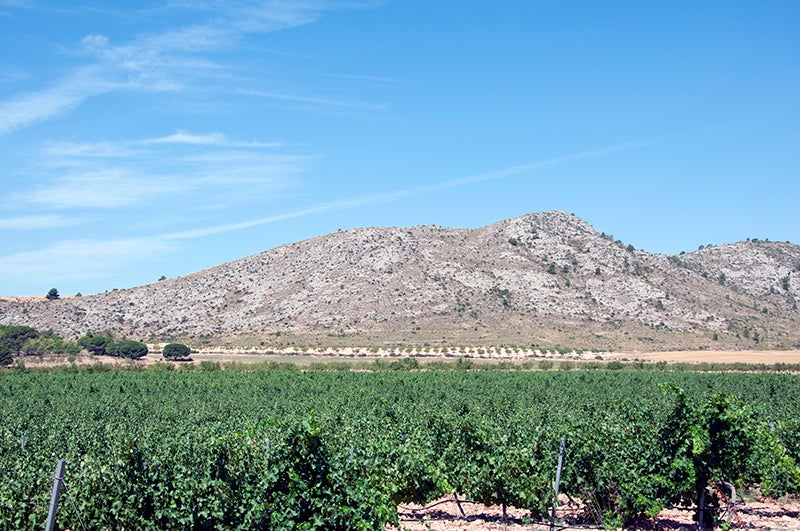 Bodega Las Virtudes, a Villena