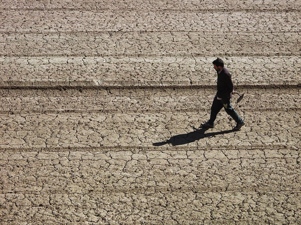 L'horta de València