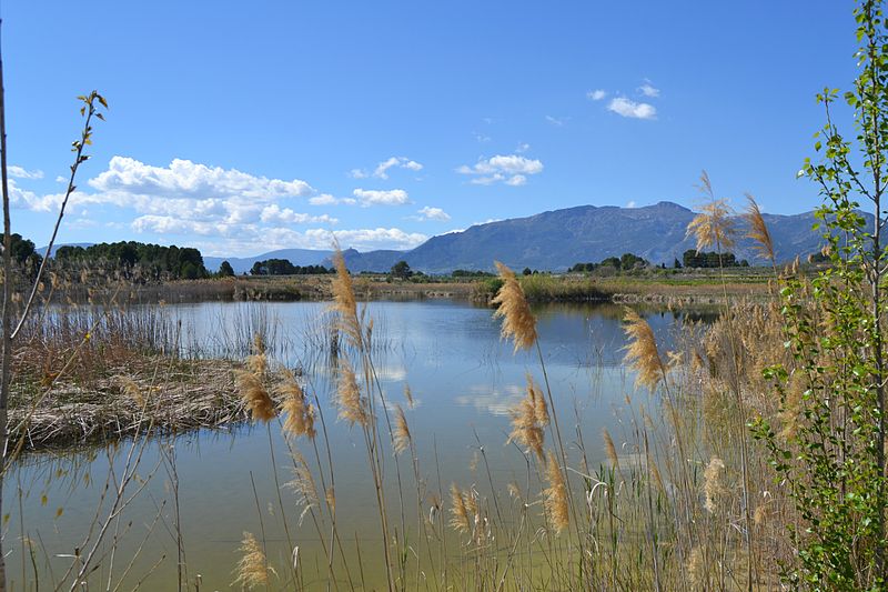 L'Albufera de Gaianes
