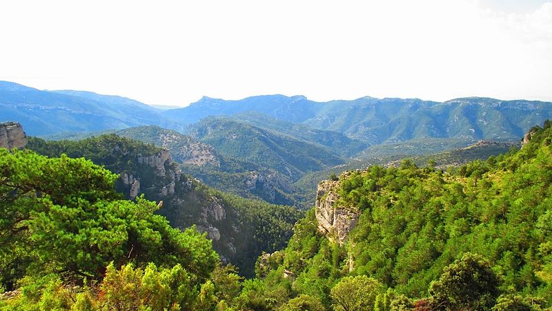 Maestrat Viu demana informació pública al Consell de Transparència pel silenci de la Conselleria sobre el 'Yellowstone Europeo'