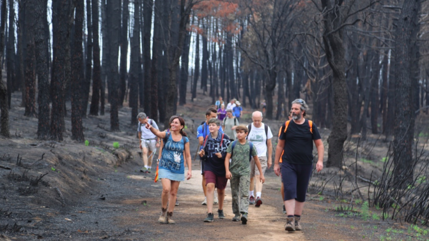 Incendis forestals: la doble cara del foc al territori valencià